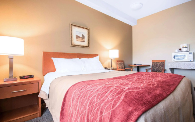 Comfort Inn & Suites