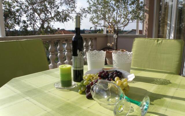 Apartment Tin - comfortable apartment near beach: A1  Ugljan, Island Ugljan