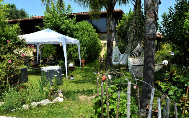 Villaggio Naif Mimosa