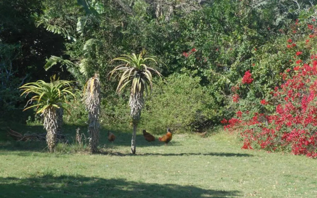 The Homestead - Simple Farm-Style Accommodation