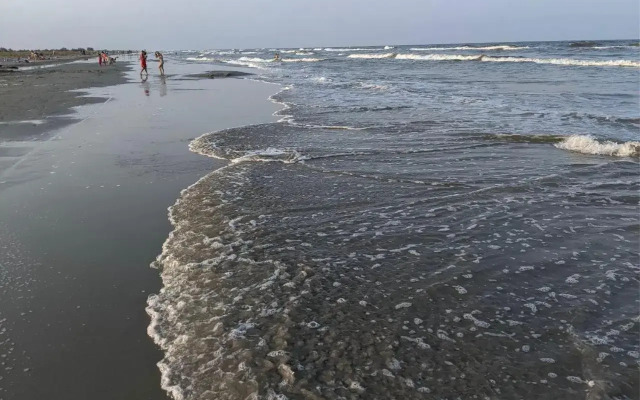 Hotel Plutitor Egreta 1