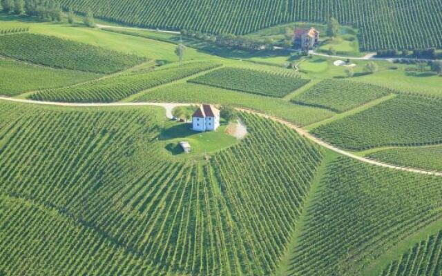 Wine Grower's Mansion Zlati Gric