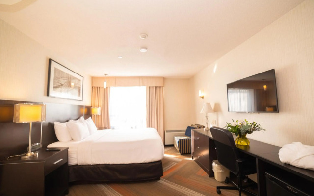 Quality Hotel
