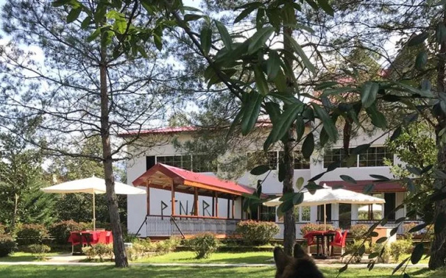pınar kır evi