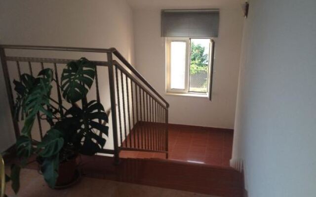 Apartments Bibic
