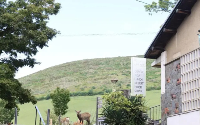 Mountain Home Lodge in Deer Park