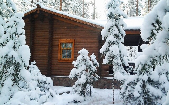 Shishki na Lampushke - Shvedskaya Laplandiya