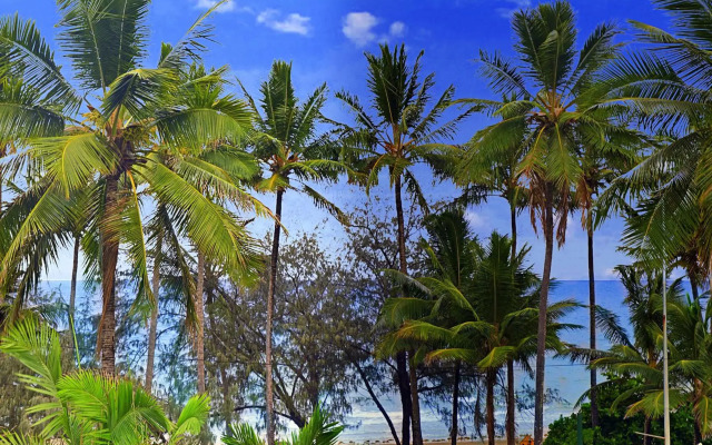 By The Sea Port Douglas