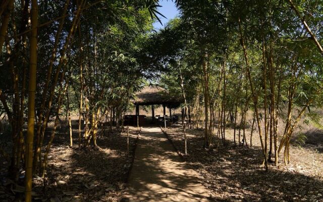 Bagh Tola, Bandhavgarh