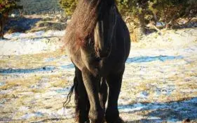 Chambres d'Hôtes Le Serpolet