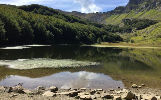 Bed & Breakfast Casa Benassi