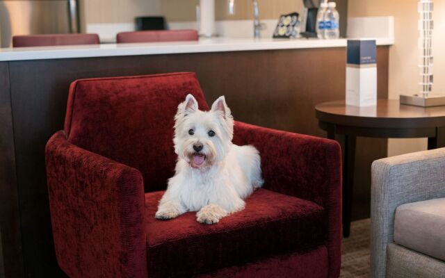 Residence Inn Chicago Downtown/Loop