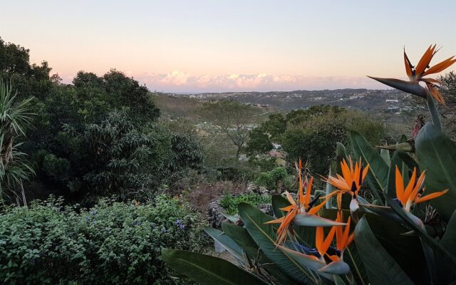 On-the-Summit Lodge & Conference Venue