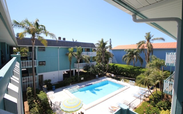Beach Palms 2A