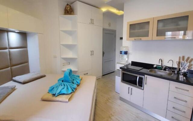 Aqua Palms Studio A210
