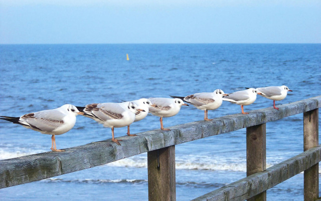 Apartment Strandidyll, Trassenheide