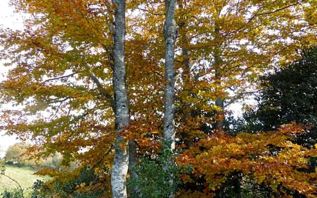 B&B Bouton D'Or La Bouriotte