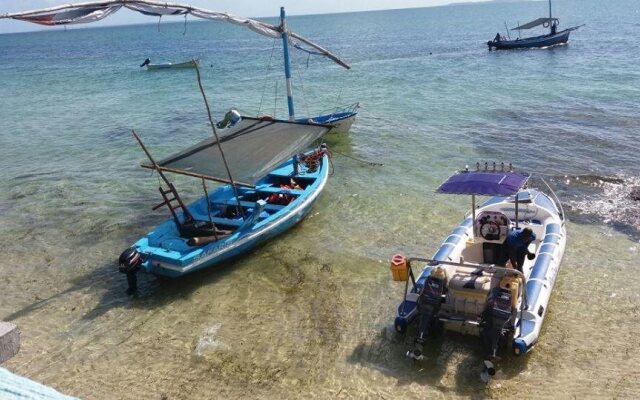 Dolphin Dhow Beach Safaris