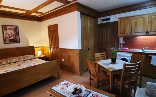 Private Studio in 5 stars Hotel Pirin Golf & SPA