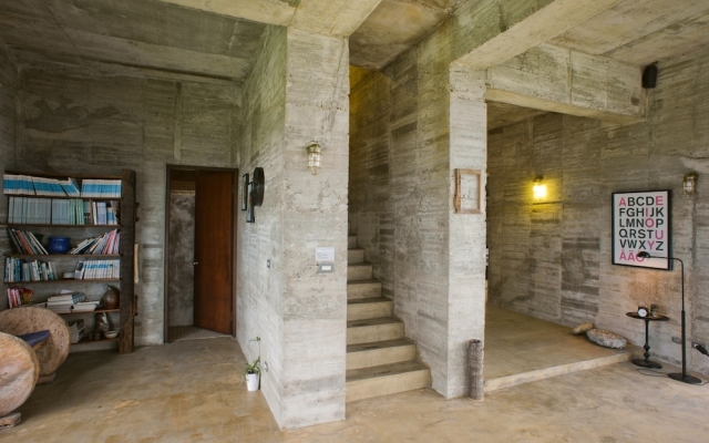 Reindeer Hualien 118