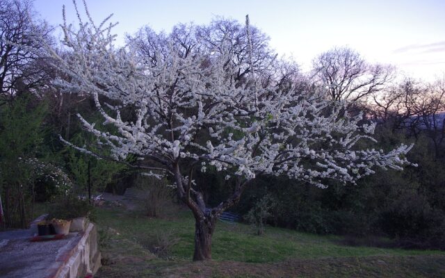 B&B Campogrande