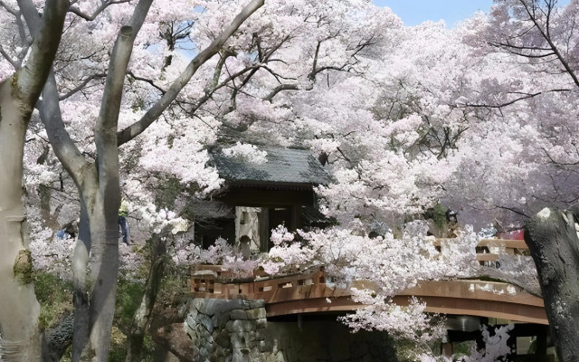 Hotel Saginoyu