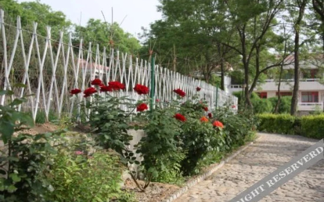 Wanglong Resort