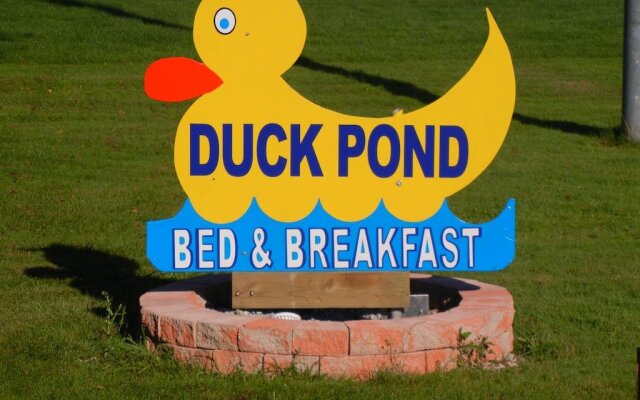 Duck Pond Bed & Breakfast Cottage