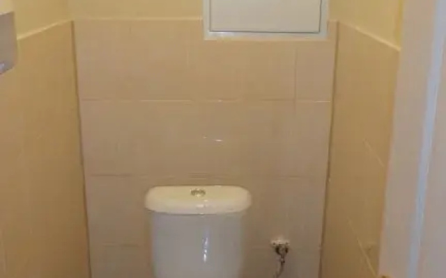 Лаванда — фото
