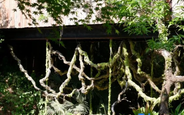 Zhuyinxing · Muyun Valley Stream Swing Boutique Inn