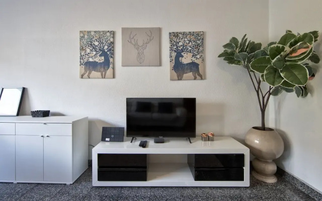 Pontinha Typical by Homing