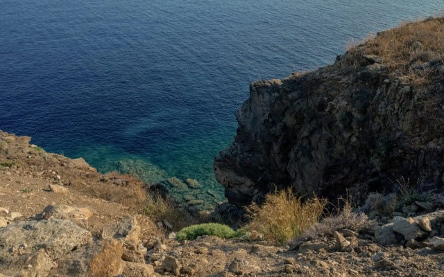 Olen Syros