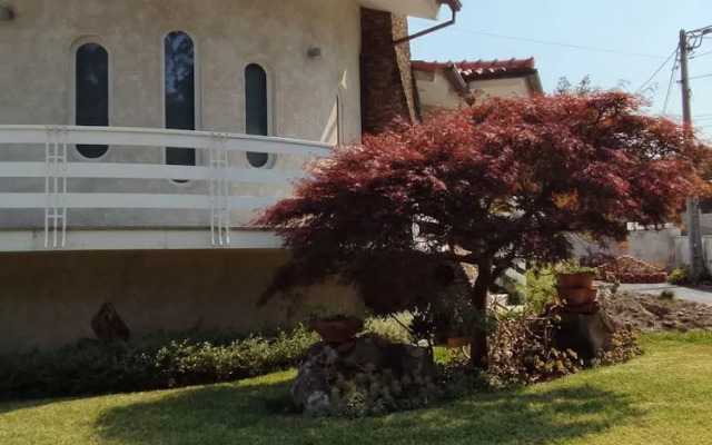 Sweet 3 Bedrooms Terrace Home Close Esposende