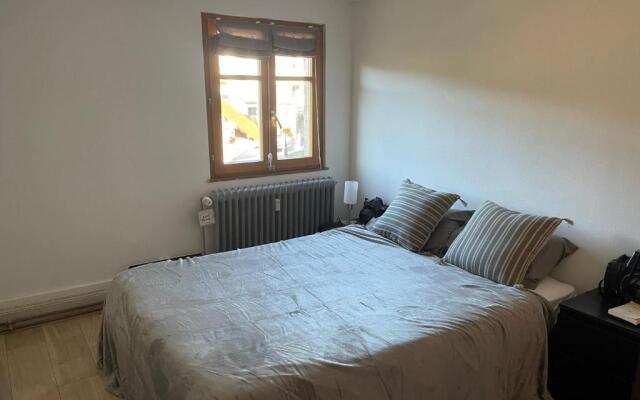 Appartement 3 pieces centre du Hohwald # 201