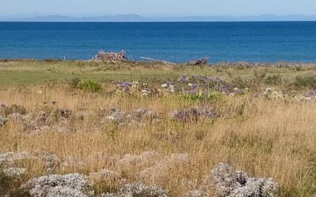 Rarangi Seaview On The Beach