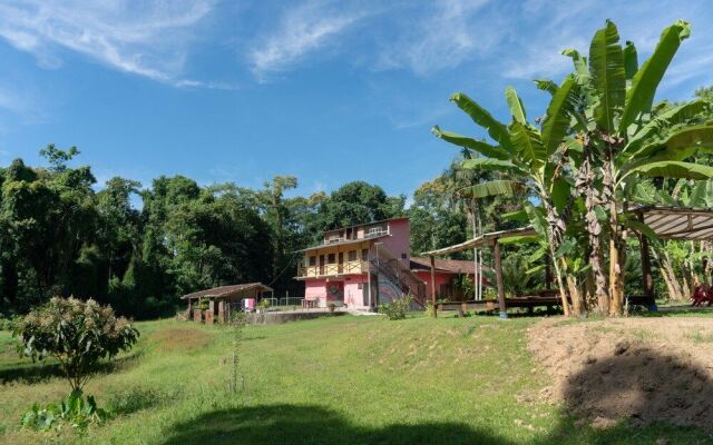 Hostel Fazenda Itamambuca