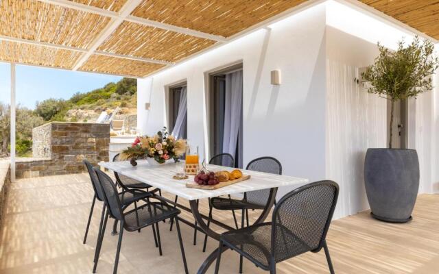Eneos Villa #1 Pool & Sea View, Paros