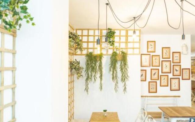 Picnic Dreams Boutique Hostel
