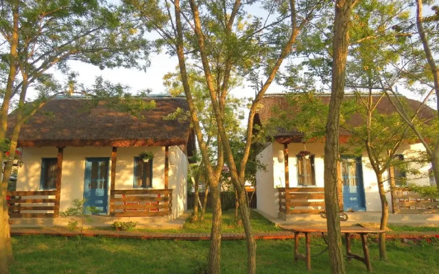 Gradina Aricilor Sf Gheorghe