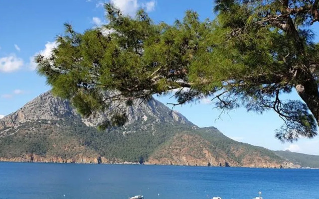 Terko Pansiyon