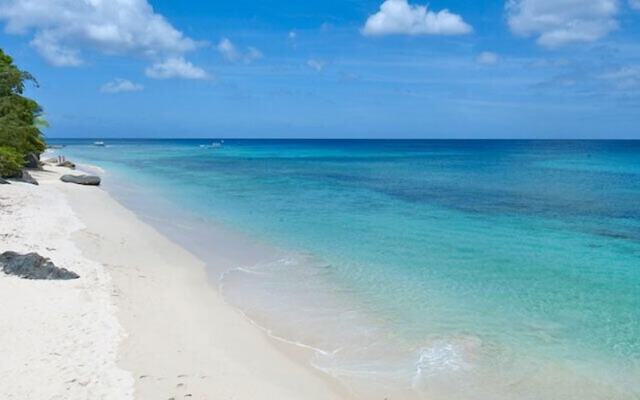Sandy Cove 201 - Paradise