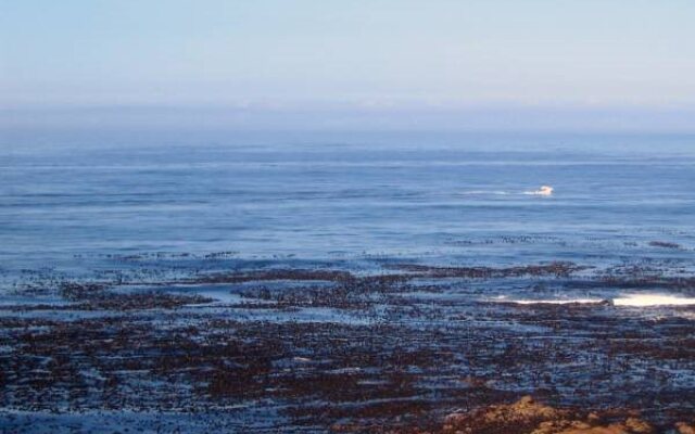 Beaumonte Guesthouse