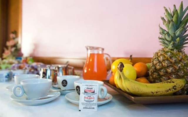 Hotel Gemelli