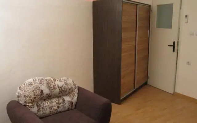 Fennec Fox Apparment