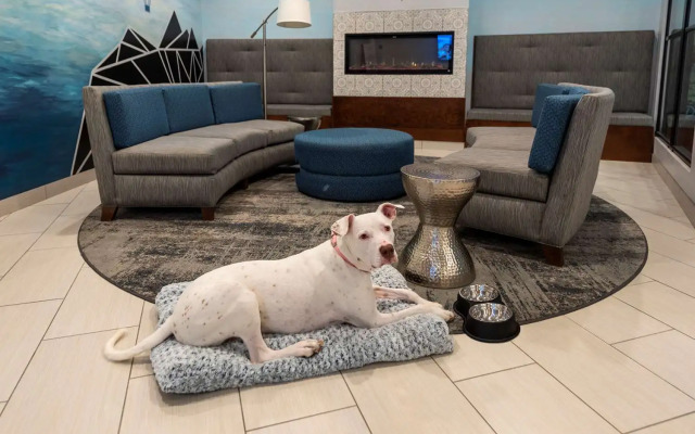 Plaza Hotel and Suites