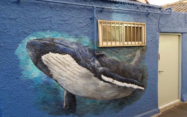 Jinho's Black Whale Guesthouse & Bar