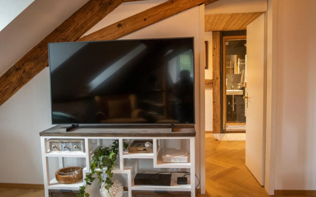 Moderne Altbauwohnung mit Pool und Sauna zentral in Bern