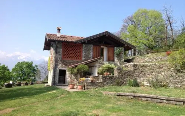 Il Ciliegio Selvatico