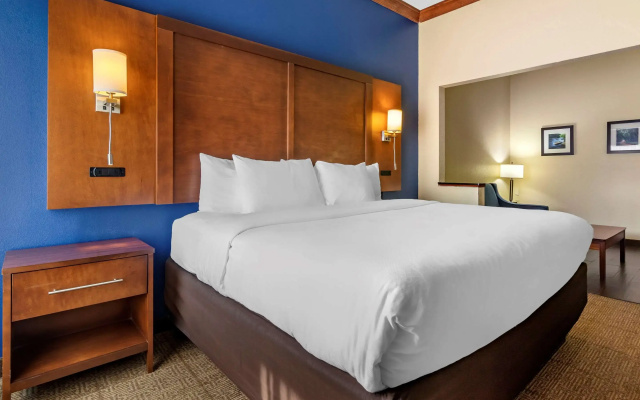 Comfort Inn & Suites Statesboro - University Area