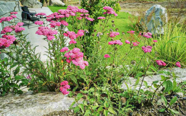 ZORE JASNÁ Apartments